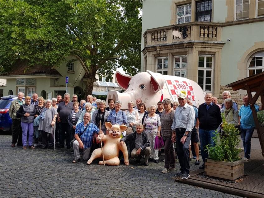Geislinger VdK'ler besuchen das Schweinemuseum