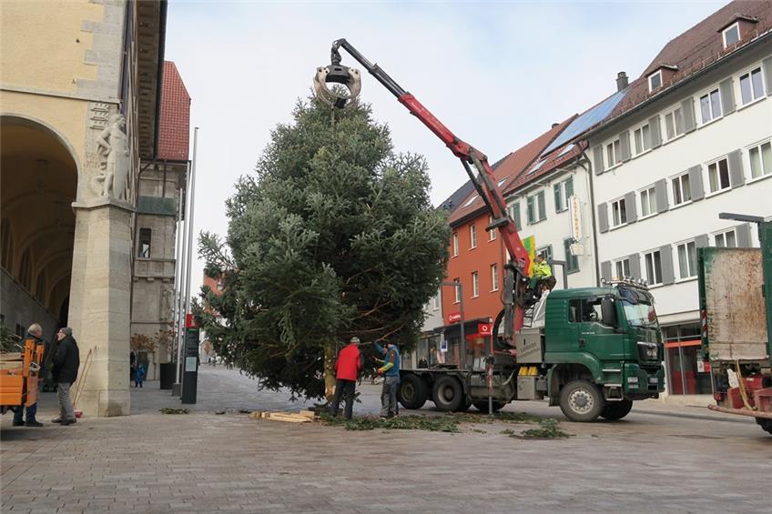 Jetzt steht der Weihnachtsbaum vorm Ebinger Rathaus