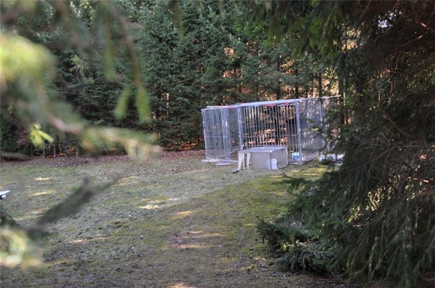 Kommentar zu Hundehaltung in Geislingen: Tierliebe falsch verstanden