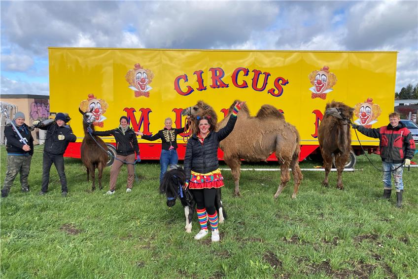 Zirkus Mulan feiert in Albstadt Premiere: „Unsere Tiere gehören zu unserer Familie“