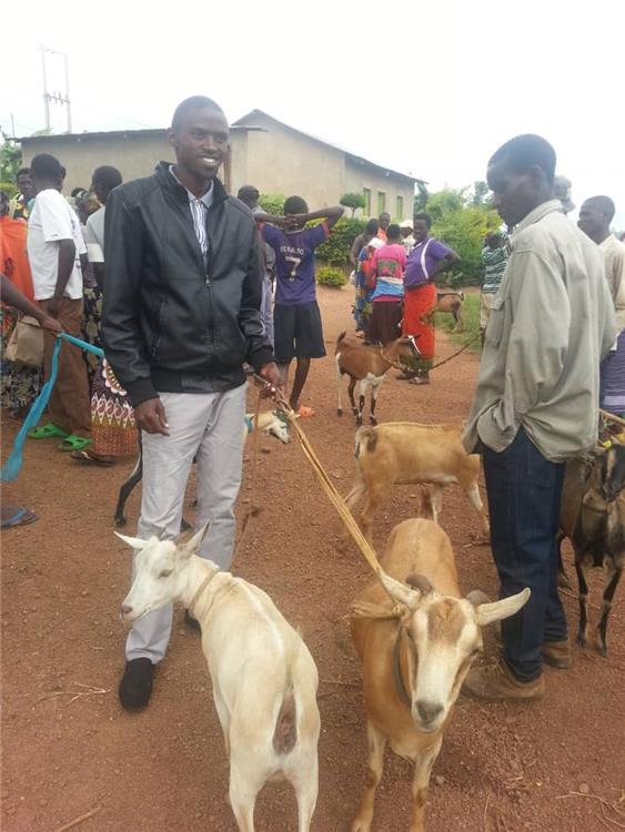 In Ruanda bedeutet jede Ziege ein Stück Hoffnung