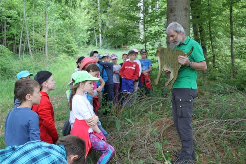Ein klassenübergreifendes Projekt zum Thema Wald an der Grundschule