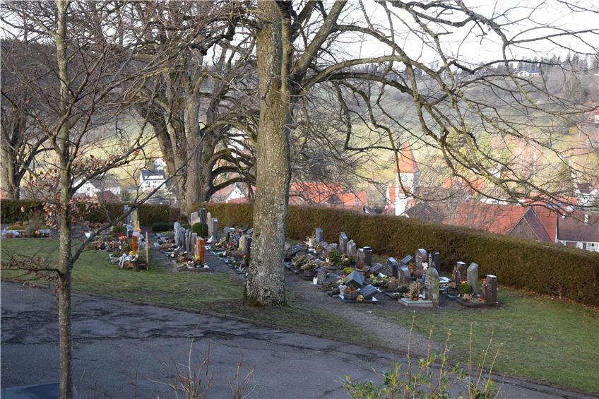 Zurück zu den Wurzeln – Streichen bekommt 53 Baumgräber auf dem Friedhof