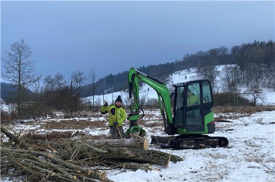Schluss mit Pappeln: Frost erlaubt Baumfällarbeiten bei der Onstmettinger Geifitze