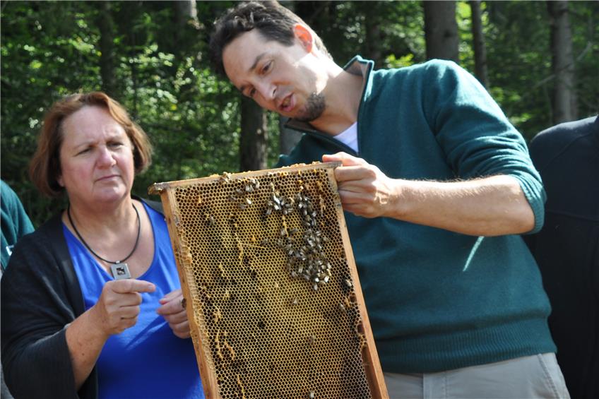 Schocknachricht für alle Bienenfreunde: Rosenfelder Verein Mellifera kämpft ums Überleben