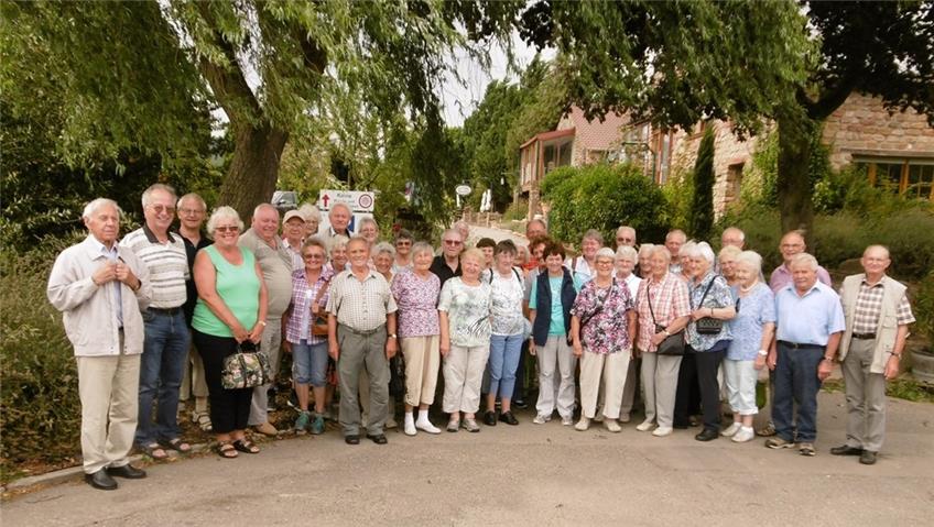 Ostdorfer Albvereinler besuchen das Städtchen Annweiler in der Pfalz