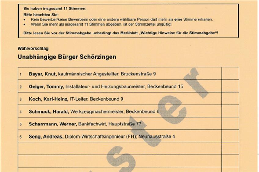 Schömberger Gemeinderat: Bei Albert Redl und Walter Schempp reichen die Namen auf dem Stimmzettel