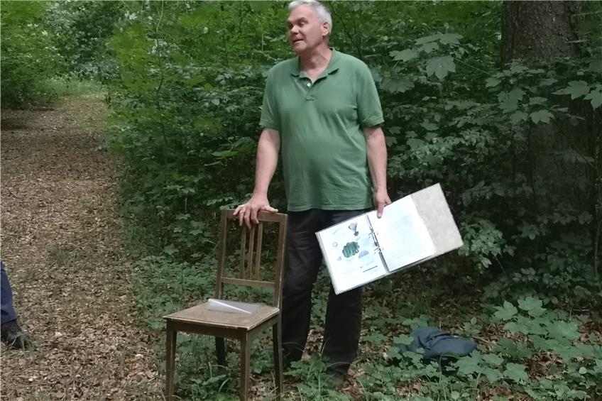 Soviel Käferholz wie noch nie: Der gefräßige Buchdrucker schlägt im Gemeindewald Straßberg zu