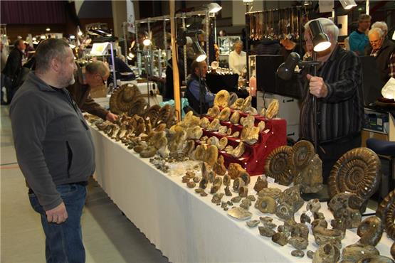 Die Mineralienbörse lockt rund 4000 Besucher