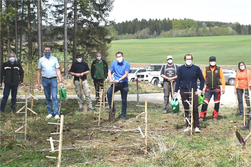 Straßberger Gemeinderäte pflanzen Bäume für den Klimaschutz