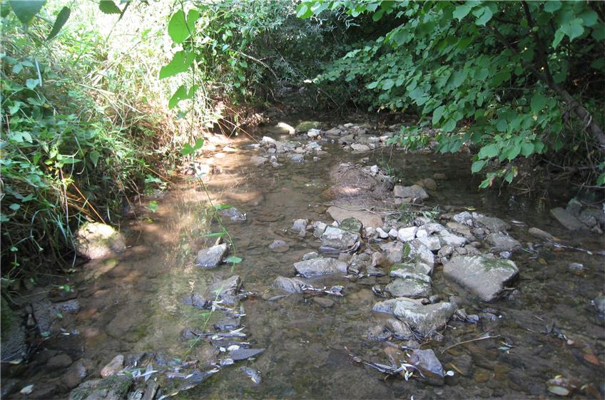 Niedrige Wasserstände in der Region: Kein Wasser aus Flüssen und Bächen entnehmen