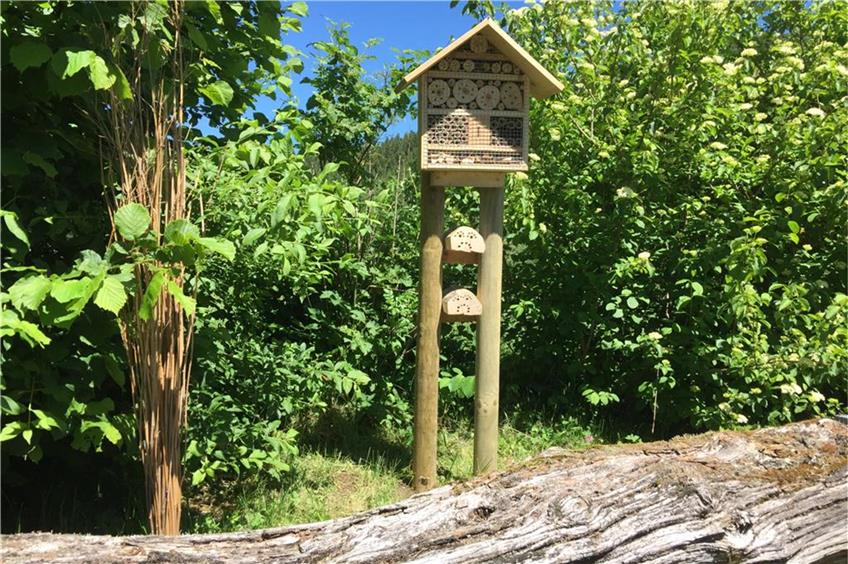 Artenvielfalt und Umweltschutz: Auf Hausens Golfplatz fliegen Bälle, Bienen und Fledermäuse