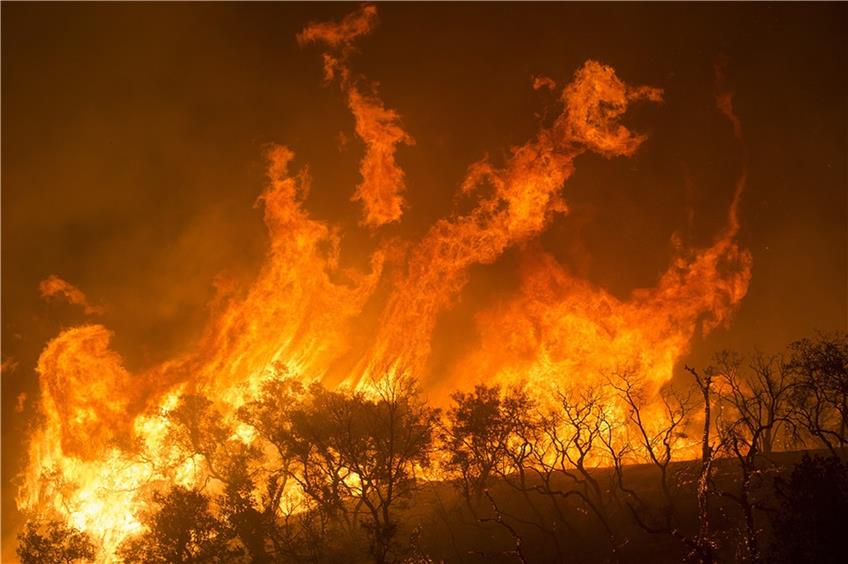 Landratsamt warnt: Trockenheit führt zu hoher Waldbrandgefahr im Zollernalbkreis