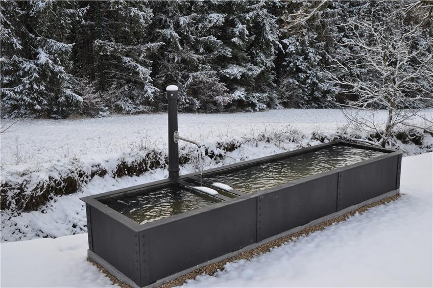 Binsdorf, das reich an Brunnen ist, saniert seine eisernen Schätze der Wasserversorgung