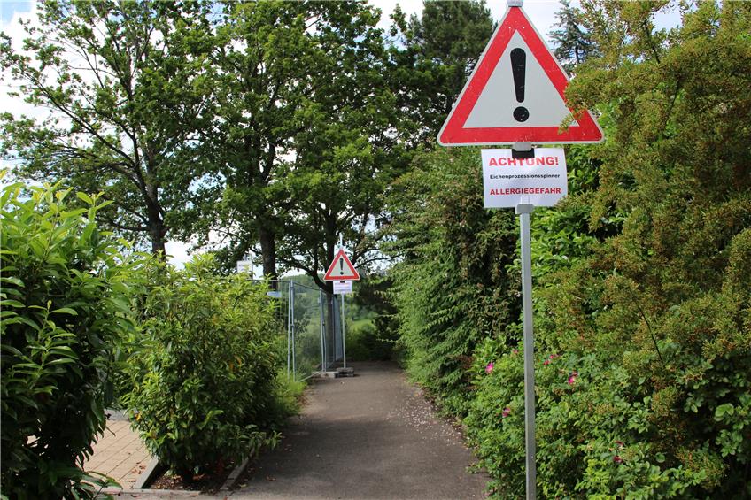 „Achtung Allergiegefahr“: Balinger Spielplatz wegen Eichen-Prozessionsspinner gesperrt