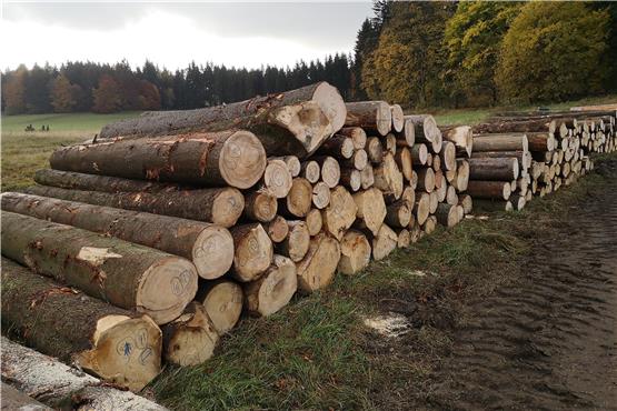 Energiekrise: Mit einem Plus von 33 Prozent steigen die Holzpreise in Straßberg deutlich an