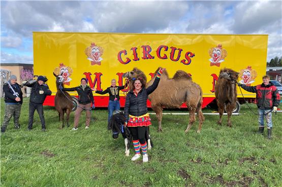 Zirkus Mulan feiert in Albstadt Premiere: „Unsere Tiere gehören zu unserer Familie“