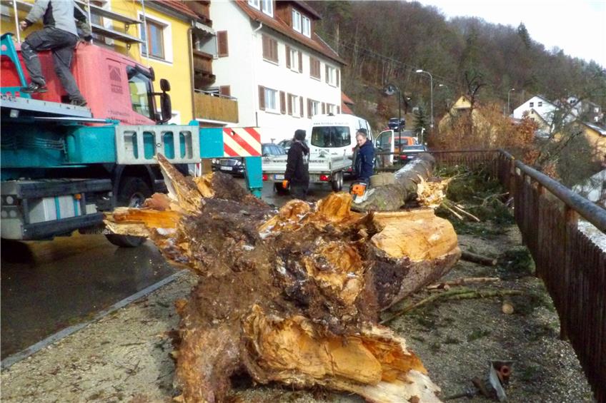 Baum stürzt in Wohnhaus in Storzingen – Zollernalbkreis übersteht stürmische Nacht glimpflich