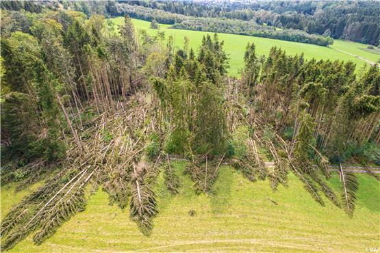 Nach Sturm besteht noch Lebensgefahr im Forst – Infoveranstaltung für Privatwaldbesitzer