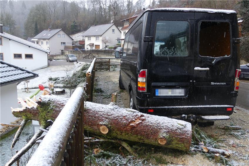 Baum stürzt in Wohnhaus in Storzingen – Zollernalbkreis übersteht stürmische Nacht glimpflich