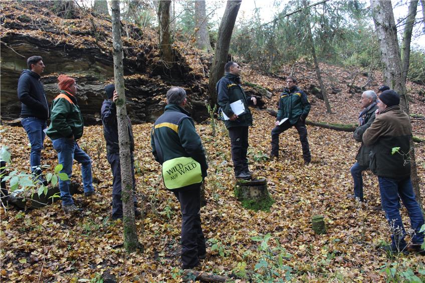 Waldbegehung mit Forstexperten: Dormettinger Räte wandeln zwischen Ahorn, Fichten und Buchen