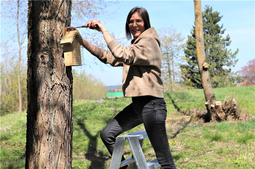 Dotternhausenerin leistet aktiven Naturschutz: Neues Zuhause für Hummel, Biene und Co.