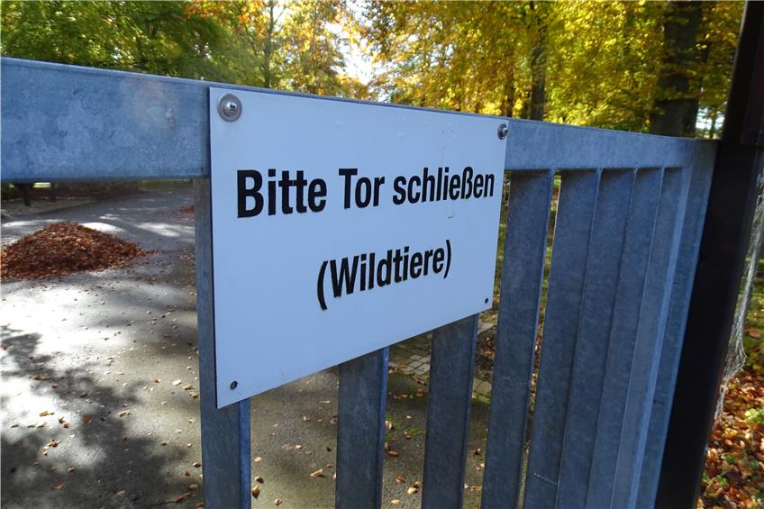 Hungrige Rehe auf Tailfinger Waldfriedhof: Stadt empfiehlt Appetitverderber wie Efeu und Immergrün