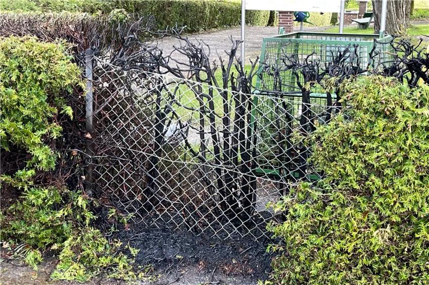 Bauhof-Mitarbeiter flammen Friedhofshecke in Feckenhausen ab: Feuerwehr muss den Brand löschen