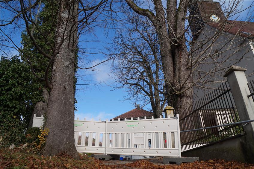 60 Unterschriften für Bürgerbegehren: Hausener wollen alte Kastanie an der Kirche retten