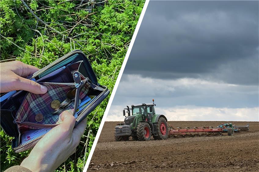 Landwirte in Sorge: EU-Fördermittel verspätet? – EDV-Panne im hiesigen Landwirtschaftsamt