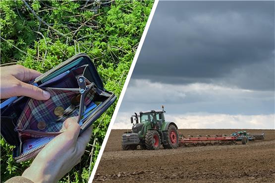 Landwirte in Sorge: EU-Fördermittel verspätet? – EDV-Panne im hiesigen Landwirtschaftsamt
