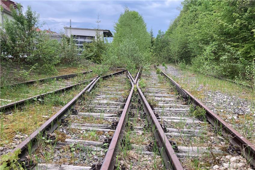 Gemeinderat Albstadt: Gespräche mit möglichem Betreiber der Talgangbahn laufen gut