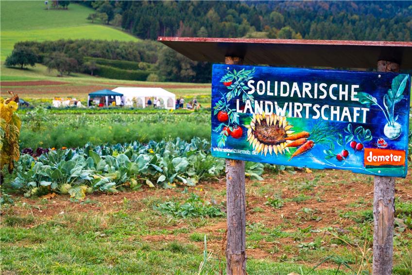Hoher Grad an Resilienz: Rosenfelder Chefin nennt Stärken der Solidarischen Landwirtschaft
