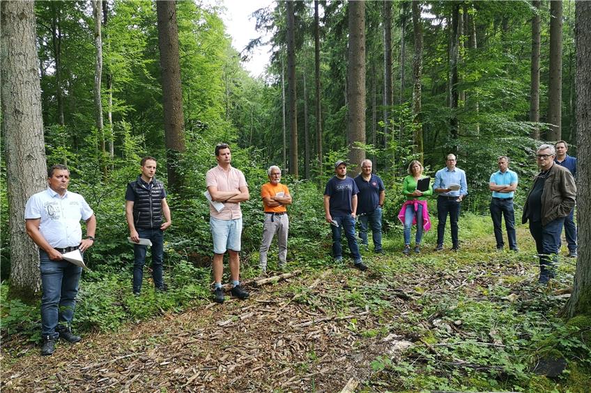 Schlechte Holzpreise und Borkenkäfer-Schäden bescheren Straßberg 2020 ein hohes Defizit