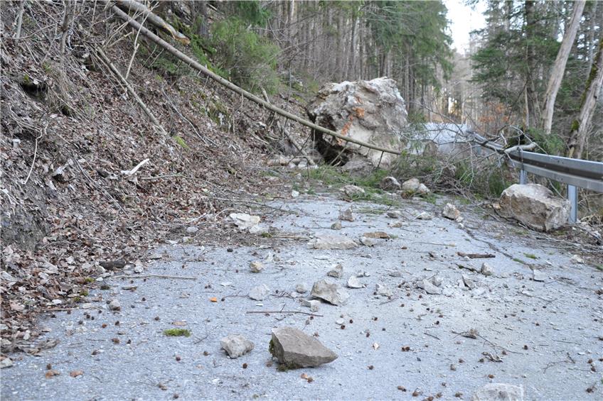 Lebensgefahr: Gesteinsbrocken blockiert Dotternhausener Plettenbergzufahrt – Experten vor Ort