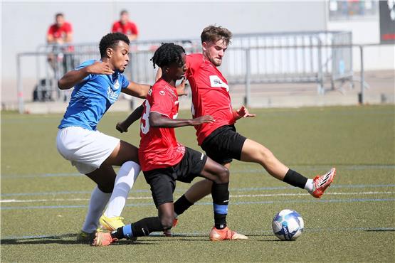 Jugendfußball: TSG Balingen U19 will nachlegen