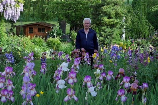 Das bunte Iris-Blumenmeer von Fridolin Hagg in Benzingen lockt Besucher von weither