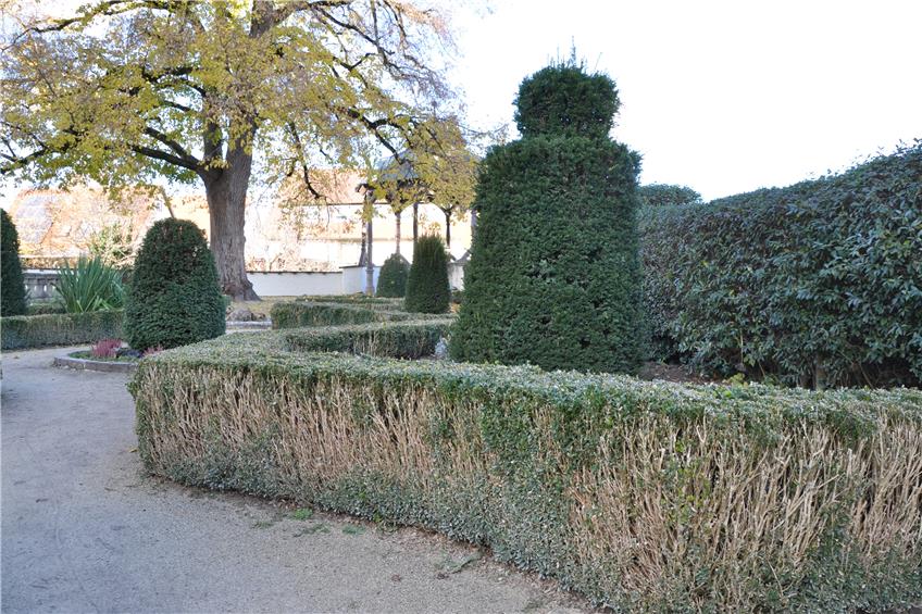 Buchshecke raus, neue Erde rein: Geislinger Schlossgarten soll zurück zum barocken Glanz
