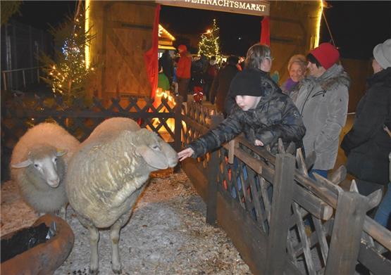 Straßberger Weihnachtsmarkt: Im Dorf wird's heimelig