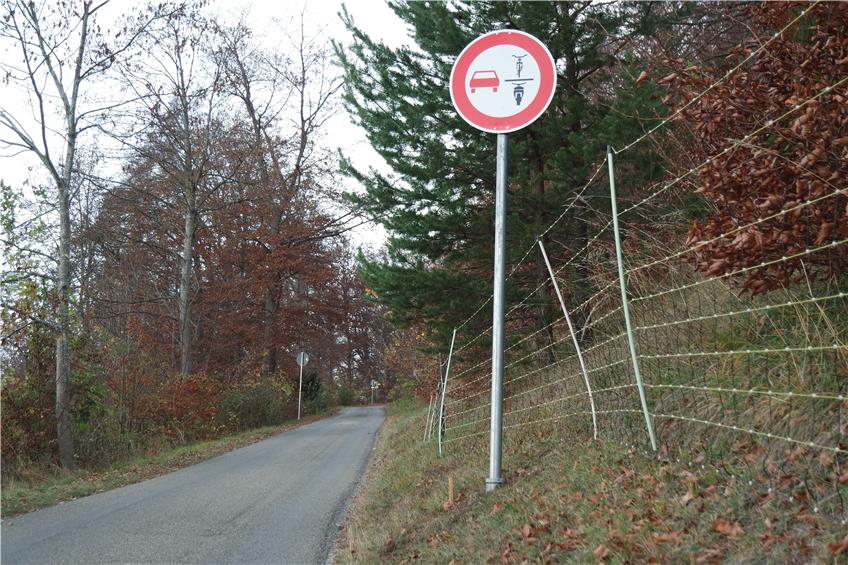 Zankapfel: Wird die schmale Zufahrt zum Ebinger Waldheim für Autos gesperrt?