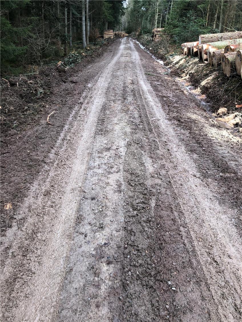 „Als gäbe es kein Morgen“: Land beschädigt Binsdorfer Waldwege beim Holz einschlagen 