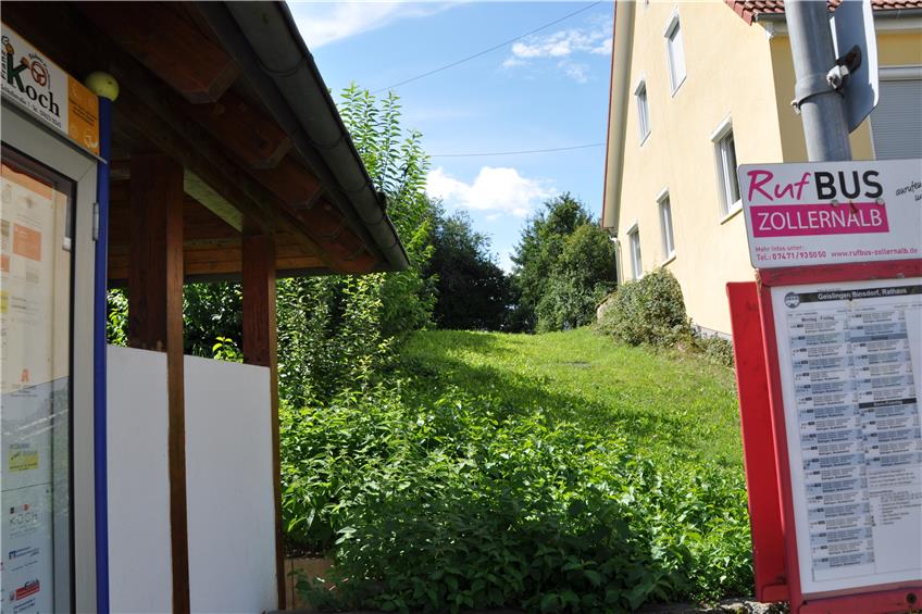 Charmantes Projekt: Binsdorfs Ortsvorsteher schwirrt Idee einer Hochzeitswiese im Kopf herum