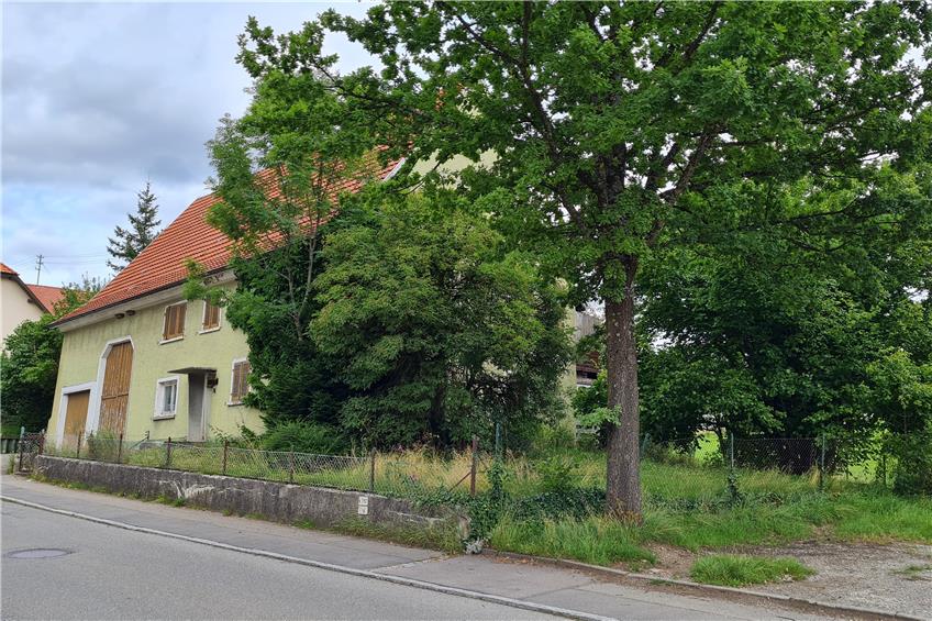 An Schörzingens Hauptstraße sollen zwei Mehrfamilienhäuser mit insgesamt 22 Wohnungen entstehen
