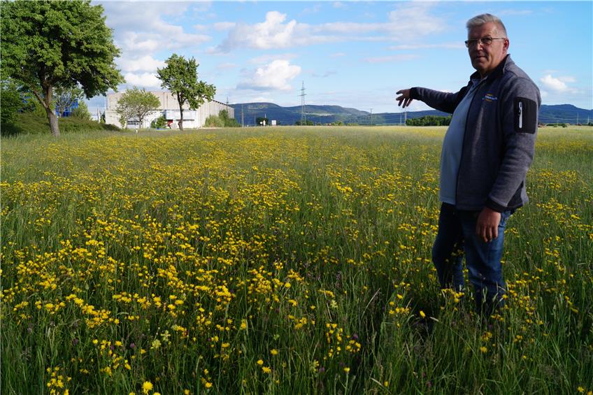 20 Prozent weniger Wiesen auf einen Schlag: Schömberger Landwirt fordert Tunnellösung für B 27