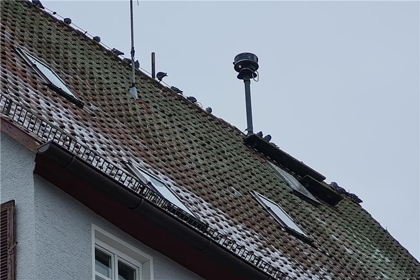 Eklat im Schömberger Gemeinderat: Bei der Sirenenfrage ist Feuer unterm Dach