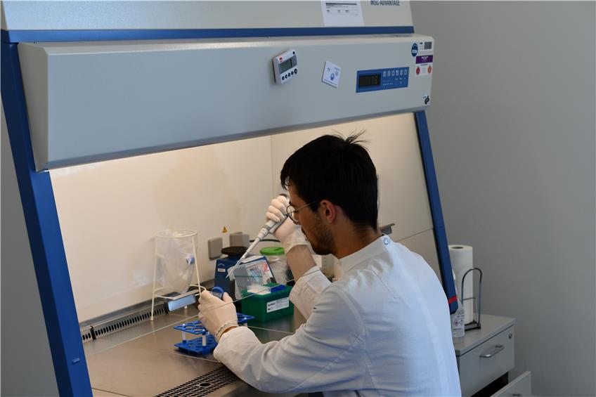 Die Straßberger Firma Autoimmun Diagnostika stellt SARS-CoV-2-Tests her