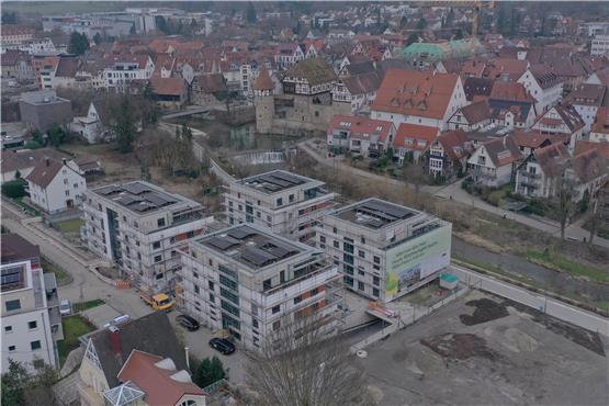 Bürokratie, Kosten, Vorgaben: Wohnbau Balingen sieht Herausforderungen, aber will nicht schwarzmalen