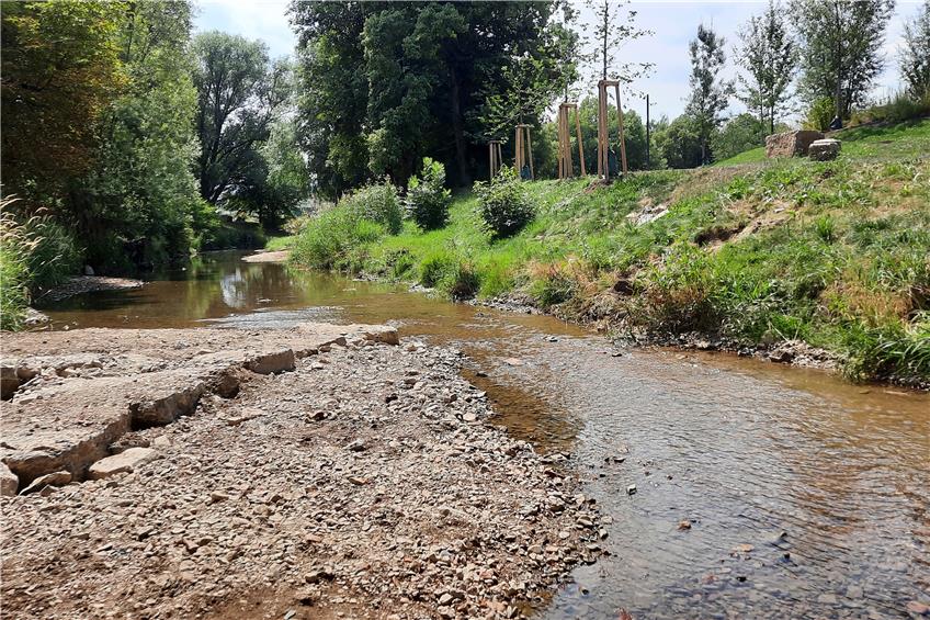 Milchige Eyach in Balingen: Gewässerbericht erwähnt einen „Störfall“ vergangenen September