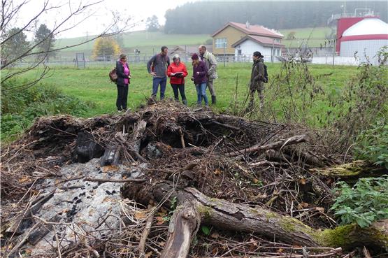 Amtliche Wildnistour in Stetten: Geästhaufen, umgeknickte Bäume und ein alter Anhänger