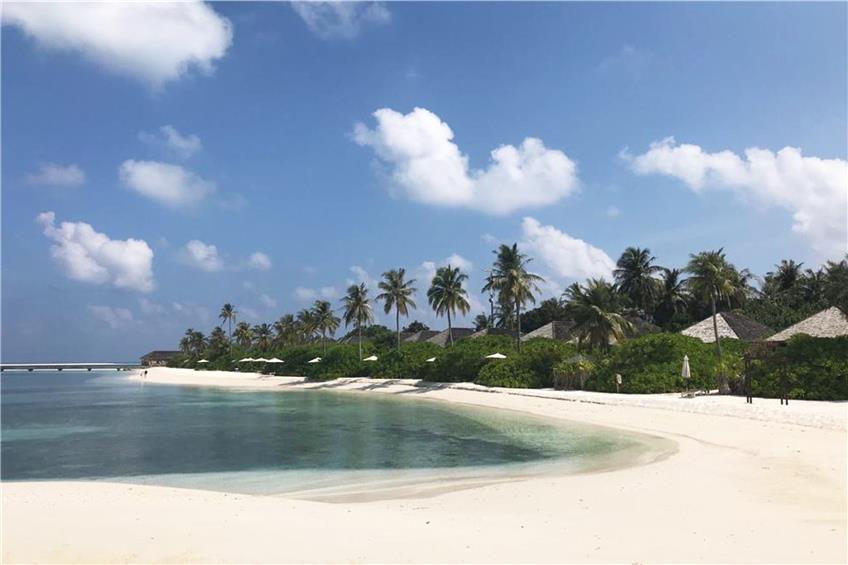 Malediven-Urlauber: Hotelmanager serviert die Corona-Nachricht im Unterwasserrestaurant